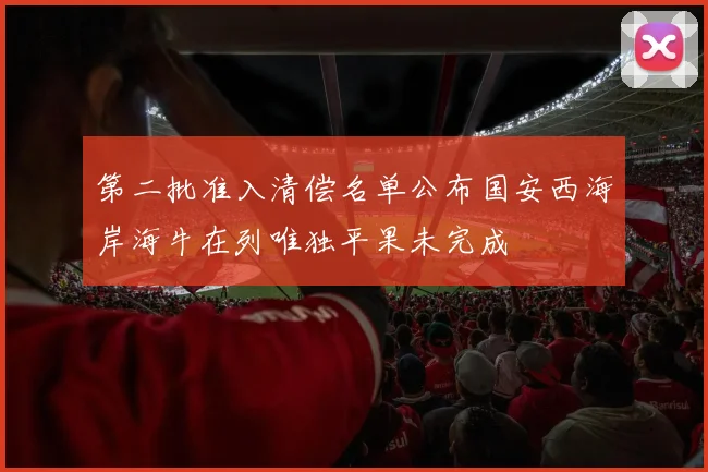 第二批准入清偿名单公布国安西海岸海牛在列唯独平果未完成