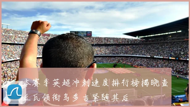 本赛季英超冲刺速度排行榜揭晓查丘瓦领衔乌多吉紧随其后