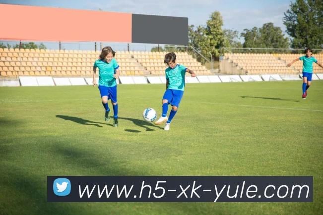 星空娱乐平台生态图